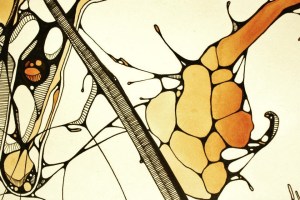 299552_10100275072566149_1945065512_n