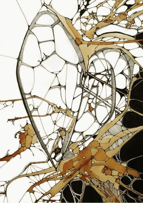 269828_10100758103752779_1092337138_n