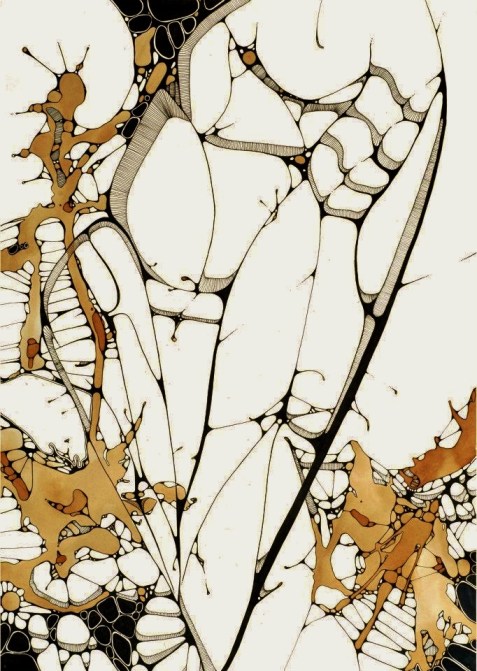 598643_10100758103533219_34958252_n